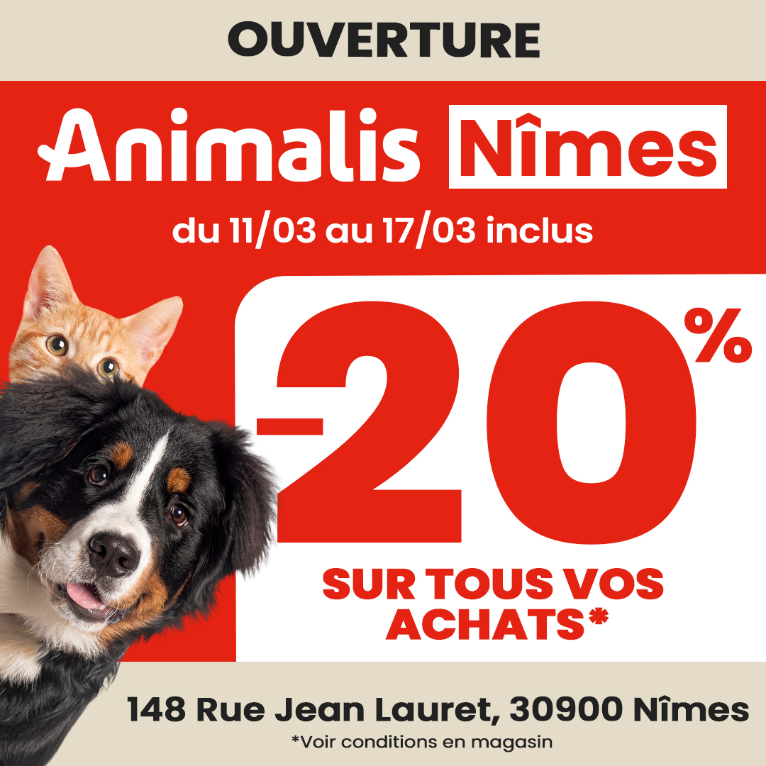 Carré Sud Nimes - Animalis ouvre ses portes à Carré Sud ! - phase 2 1080x1080 2 - 1
