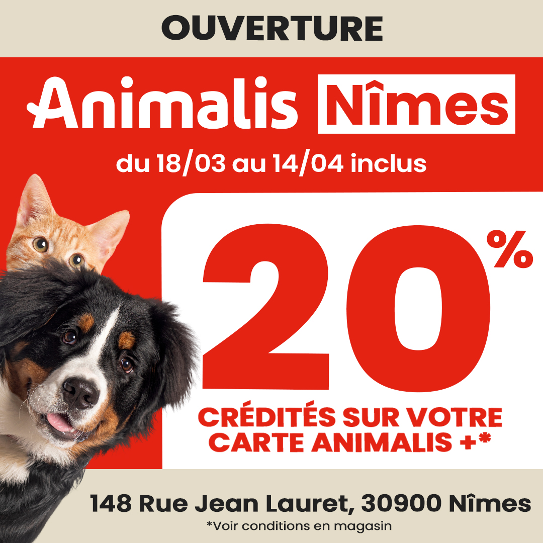 Carré Sud Nimes - -20% avec votre carte de fidelité chez Animalis ! - phase 3 1080x1080 1 - 1